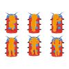 Kids Cartoon Beetle Sleeping Bag for 2 Season Mild Weather (Red)